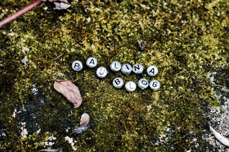 Silver inscription on the green grass. Paulina Blog separate letters in the forest.の写真素材