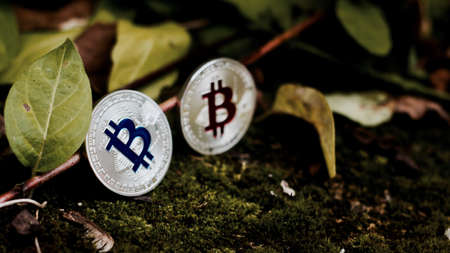 Digital currency physical silver red blue bitcoin on green grass near leafs.の写真素材