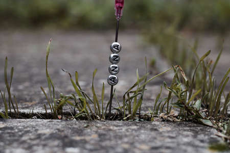 Small silver letters Anna. Polish name on the needle in the green garden.の写真素材