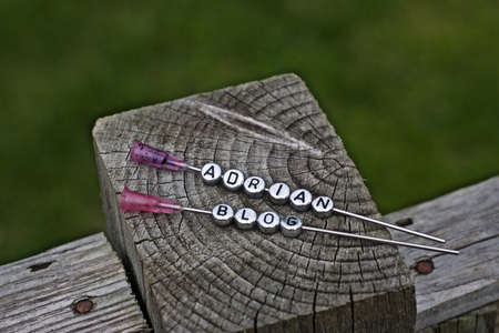 Adrian blog silver small inscription on the needle in the garden. Wooden and green background.の写真素材