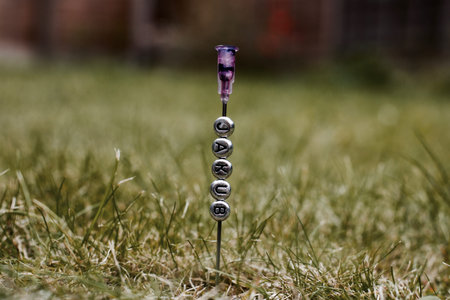 Small silver pins letters on the needle. Green grass natural outdoor concept.