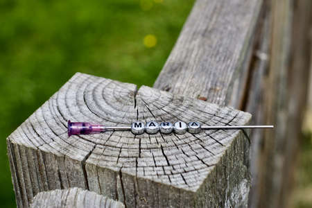 Small silver pins letters on the needle. Green grass natural outdoor concept.の写真素材