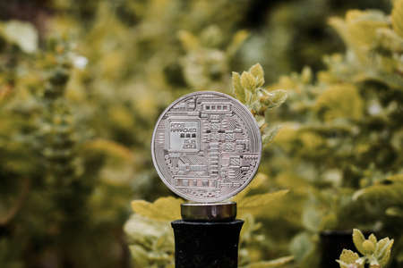 Digital currency physical metal bitcoin coin on the green background. Outdoor btc concept.の写真素材