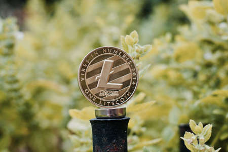Digital currency physical metal litecoin coin on the green background. Outdoor cryptocurrency concept.の写真素材