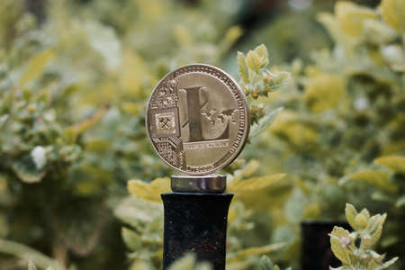 Digital currency physical metal litecoin coin on the green background. Outdoor cryptocurrency concept.の写真素材