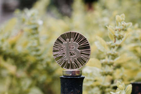 Digital currency physical metal bitcoin coin on the green background. Outdoor btc concept.の写真素材