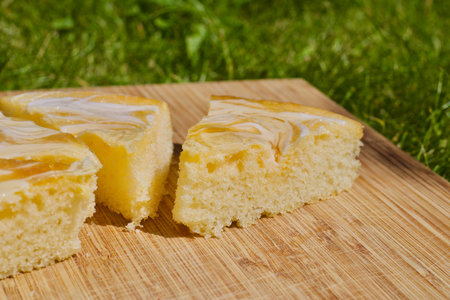 Delicious and fresh lemon cake on the wooden board in green garden at summer time.