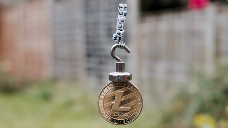 Digital currency physical metal litecoin coin near wallet inscription.