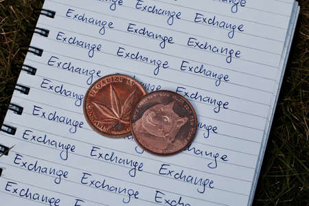 Digital currency physical brass dogecoin coin on the exchange inscription. Outdoor green concept.の写真素材