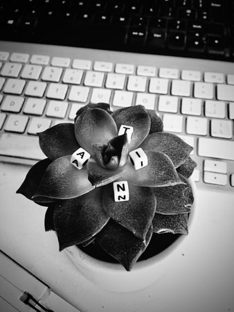 Small white letters. Inscription on the flower near white keyboard. Anita.