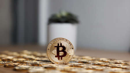 Digital currency physical metal bitcoin coin on the gold money background. Money concept.の写真素材