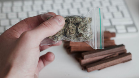 Green dry marijuana in man hand on the blurry background. Weed concept.の写真素材