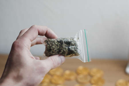 Green dry marijuana in man hand on the blurry background. Weed concept.の写真素材