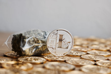 Crypto currency physical metal litecoin coin on the gold money. Digital currency concept.の写真素材