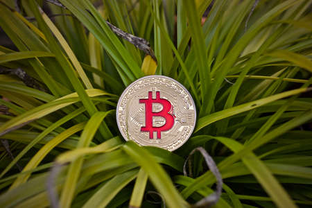 Digital currency physical metal bitcoin coin. Cryptocurrency outdoor concept.の写真素材