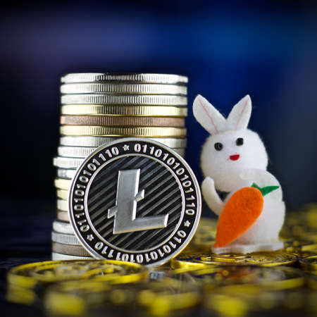 Digital currency physical metal litecoin coin. Cryptocurrency gold concept.の写真素材