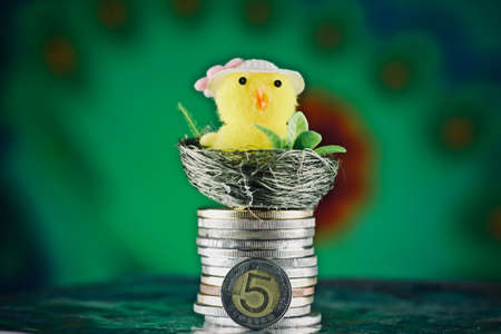 Physical polish currency. Polish money easter concept.の写真素材