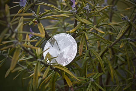 Digital currency physical metal silver monero coin. Cryptocurrency rosemary concept.の写真素材