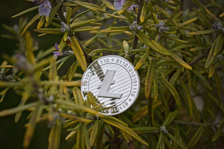 Digital currency physical metal silver litecoin coin. Cryptocurrency rosemary concept.の写真素材