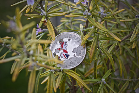 Physical silver brexit coin. Green rosemary coin concept.の写真素材