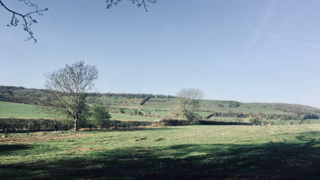 Ibstone - village in England. Green fields. Spring time.の写真素材