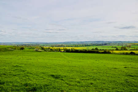 Green fields on spring time in England. Outdoor nature concept.の写真素材