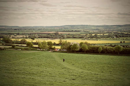 Green fields on spring time in England. Outdoor nature concept.の写真素材
