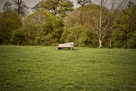 Green fields on spring time in England. Outdoor nature concept.の写真素材