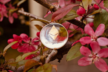 Digital currency physical metal silver ethereum coin. Cryptocurrency outdoor concept.