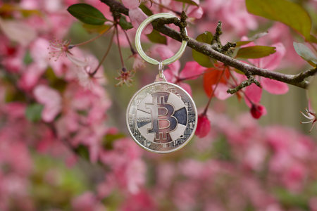 Digital currency physical metal bitcoin coin. Cryptocurrency outdoor concept.
