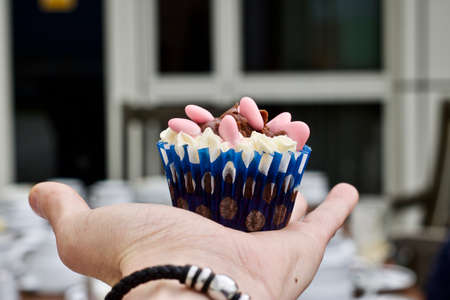 Tasty colour cupcake on hand. Sweet food concept.の写真素材