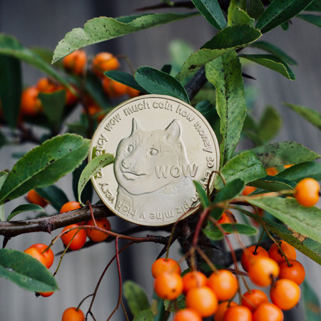 Digital currency physical metal dogecoin coin. Dogecoin tree outdoor concept.