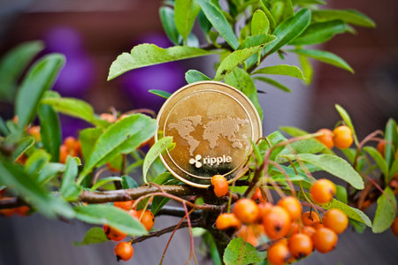 Digital currency physical metal ripple coin on green tree. Outdoor cryptocurrency concept.