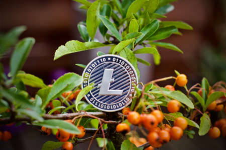 Digital currency physical metal Litecoin coin on the green tree. Cryptocurrency outdoor concept.の写真素材
