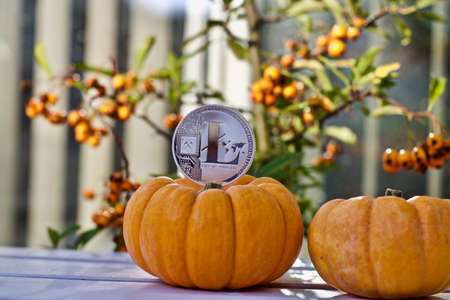 Digital currency physical metal litecoin coin. Cryptocurrency halloween concept.の写真素材