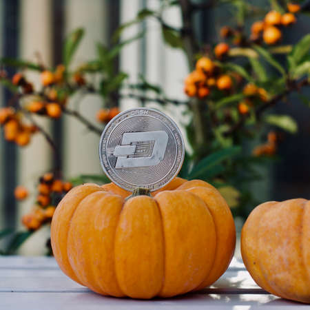 Digital currency physical metal silver dashcoin coin. Halloween cryptocurrency concept.の写真素材