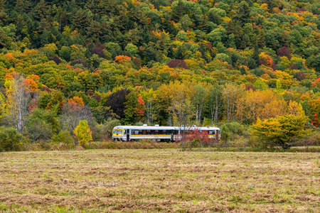Charlevoix train crossing the natural faunique reserve of Cap-Tourmente, Quebec, Canada.のeditorial素材