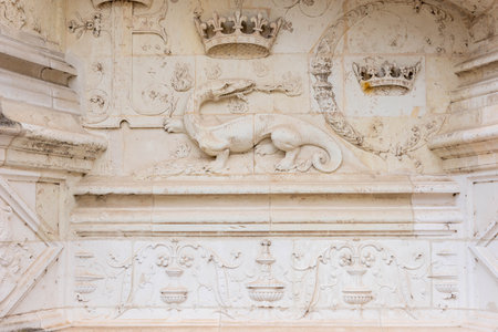 Blois, Loir-et-Cher, Centre-Val de Loire, France â May 25, 2022: Details of a bas-relief of the Royal Castle of Blois. The salamander was the symbol of the king FranÃ§ois the firstのeditorial素材
