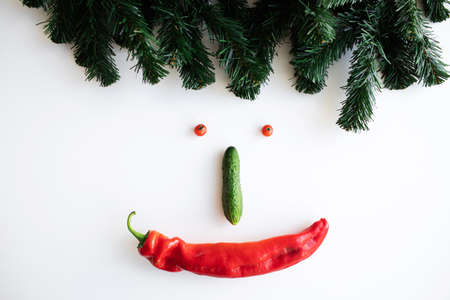 vegetables on the table in the form of smiley of pepper, cucumber, cherry and spruce branchesの写真素材