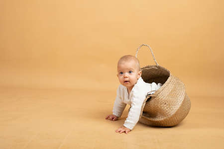 a baby sits in a wicker basket on an orange background with an alarm clock in his handsの写真素材