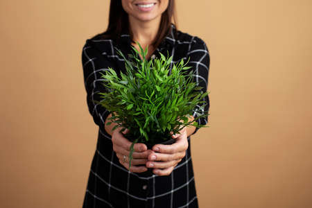 A young woman with glasses holds a flower in a pot. Save the planetの写真素材