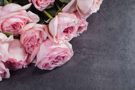 Close-up of pink roses. A girl holding a rose. Flowersの写真素材