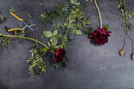 A variety of beautiful flowers lying on a grey table. Flower delivery. The job of a floristの写真素材