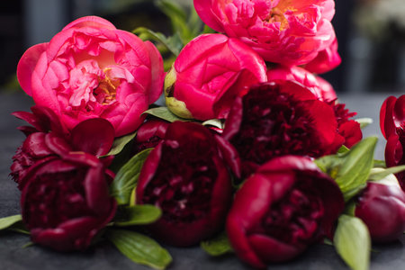 Beautiful bouquet of peonies red charm and coral. Flower deliveryの写真素材