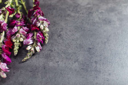 Beautiful bouquet of pink leutenbach. Flower deliveryの写真素材