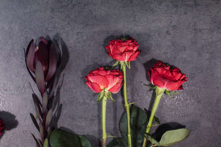 A variety of beautiful flowers lying on a grey table. Flower delivery. The job of a floristの写真素材
