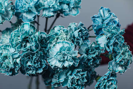 Beautiful bouquet of tinted dyed carnations. Flower deliveryの写真素材