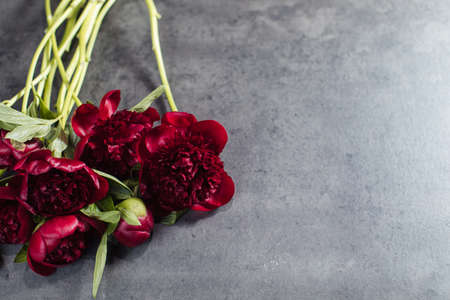 Beautiful bouquet of peonies red charm. Flower deliveryの写真素材