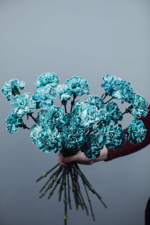 Beautiful bouquet of tinted dyed carnations. Flower deliveryの写真素材