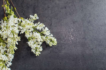 Beautiful bouquet of white lilac. Flower deliveryの写真素材